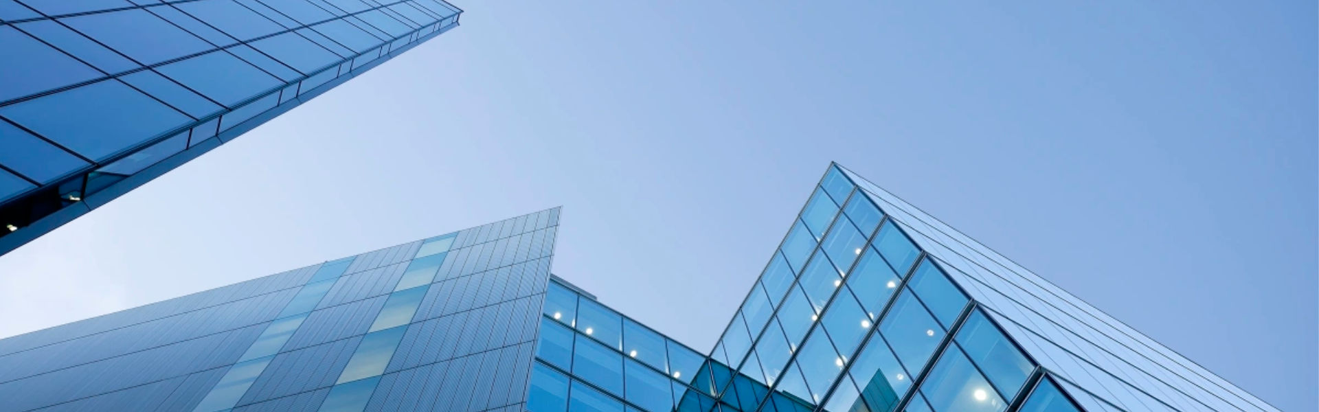 Company Profile