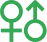 Gender